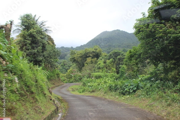 Obraz Grenada Roads