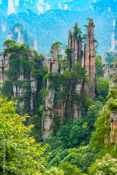 Fototapeta Góry z piaskowca widziane ze szlaku z 10 Mile Natural Gallery na górę Tianzi. Obszar krajobrazowy Wulingyuan, Zhangjiajie, Hunan, Chiny.