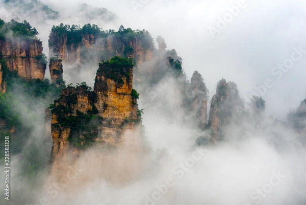 Fototapeta Early morning mist in the Tianzi Mountain Natural Reserve near Xiangyuan Inn, Helong Park. Wulingyuan, Zhangjiajie, Hunan, China.