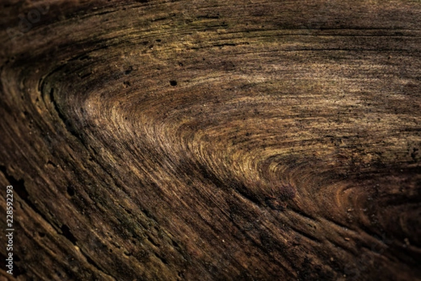Obraz old wood texture abstract