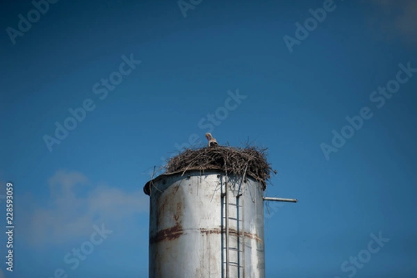 Obraz Аист в гнезде на башне
