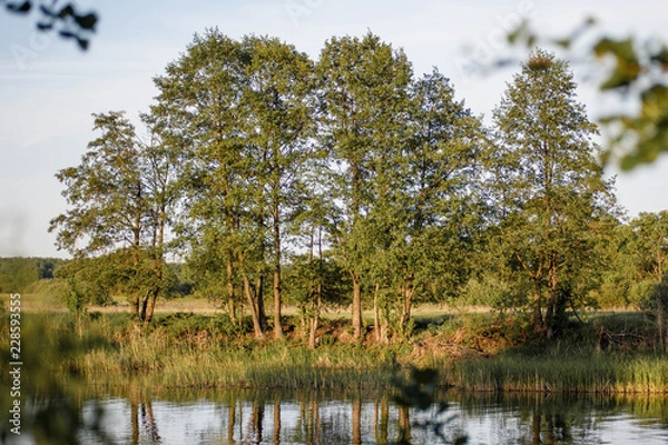 Obraz Деревья над водой