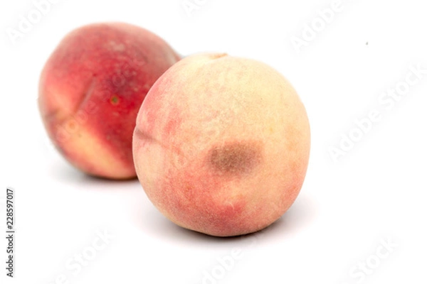 Obraz peach on a white background
