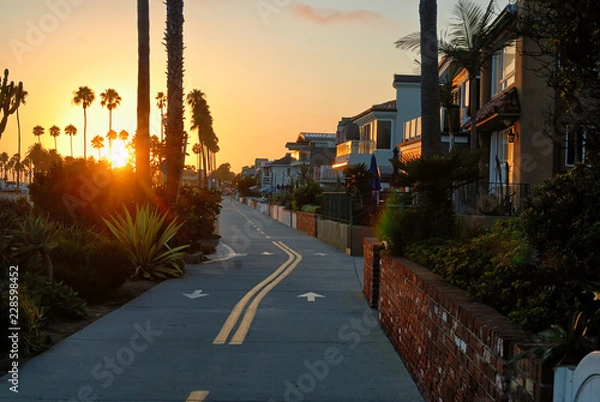 Obraz The strand heading towards the Newport Pier.