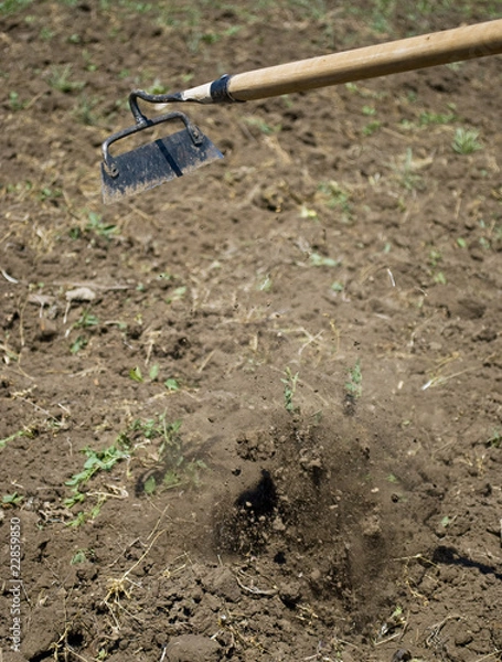 Fototapeta Ploughing in motion