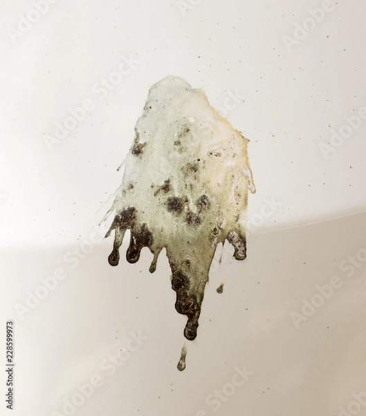 Obraz Splatter of bird poop outdoors on car varnish.