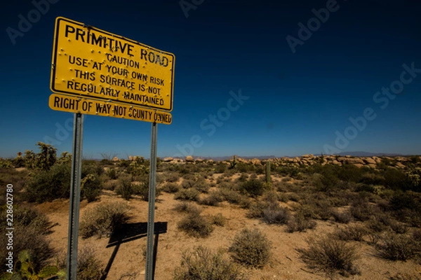 Obraz Shotgunned Sign