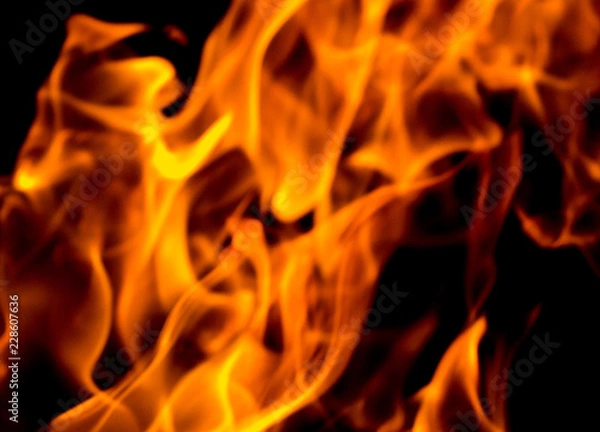 Obraz Fire flames on black background