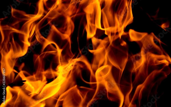 Obraz Fire flames on black background