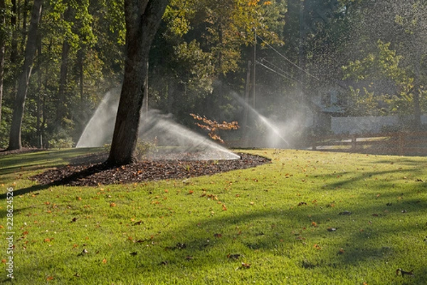 Obraz Irrigation and Sprinklers