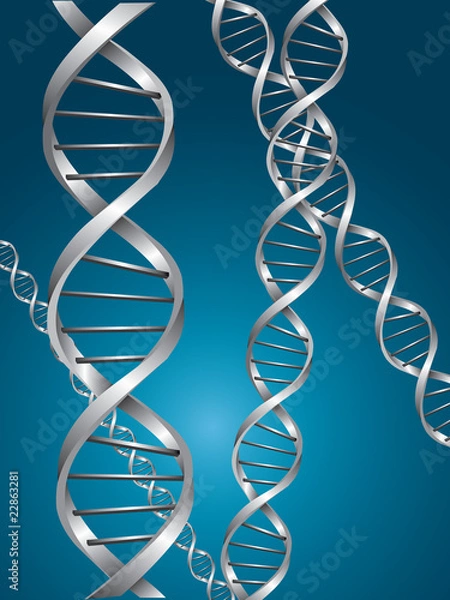 Obraz Silver dna spiral in a blue background