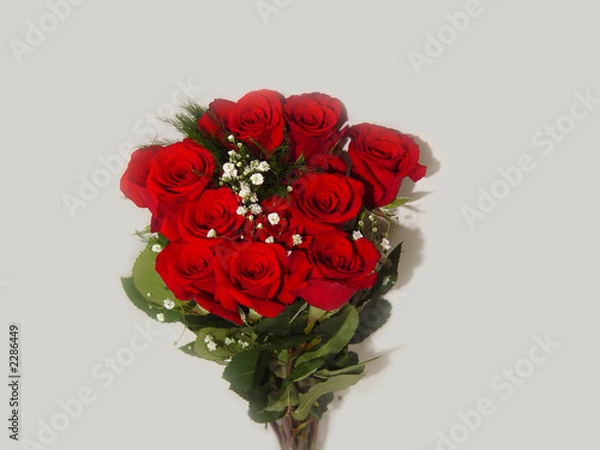 Obraz roses and baby's breath