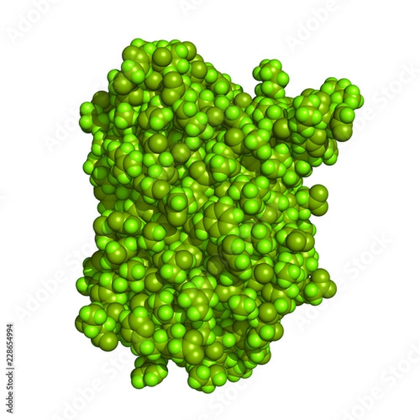 Obraz Green fluorescent protein is a biosensor often used in molecular biology as a reporter of expression. Space-filling molecular model.