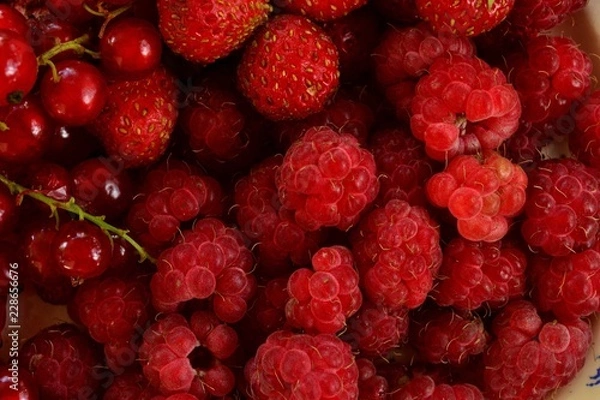 Obraz Малина, смородина и клубника 