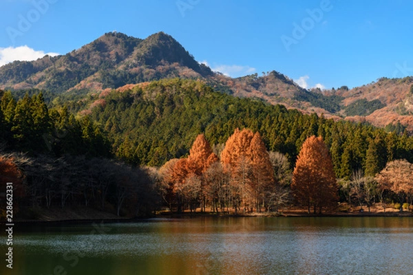 Obraz 赤川ダムから見た古賀志山