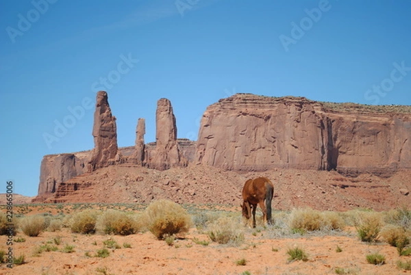 Obraz monument valley