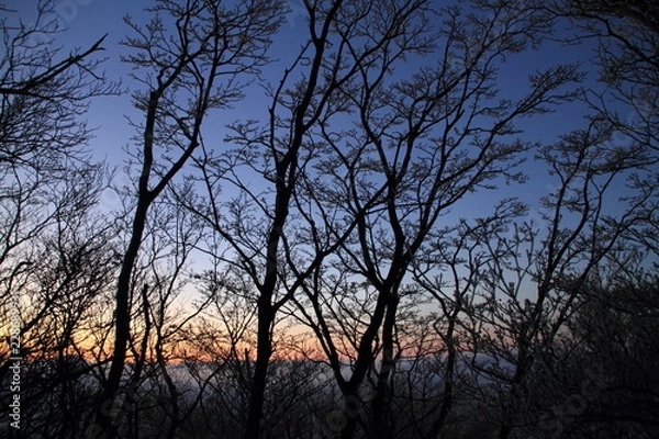 Obraz 霧島の夕焼け