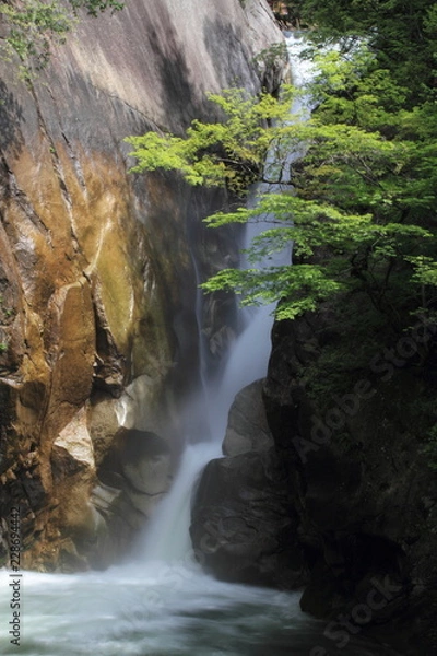 Fototapeta 昇仙峡　仙娥滝