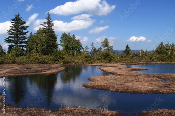 Obraz 尾瀬　熊沢田代