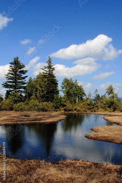 Obraz 尾瀬　熊沢田代