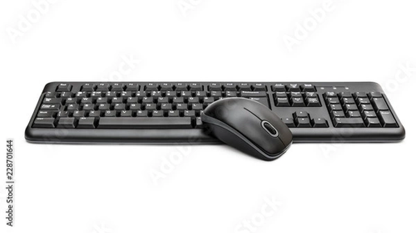 Fototapeta Computer mouse with keyboard on white.
