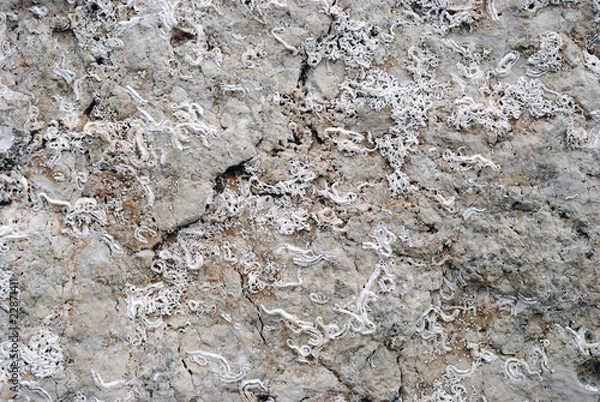 Obraz Traces on the rock