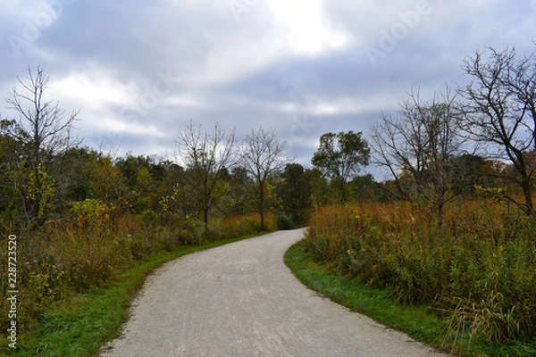 Obraz road in the countryside