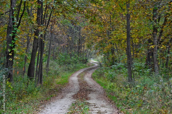 Obraz beautiful nature