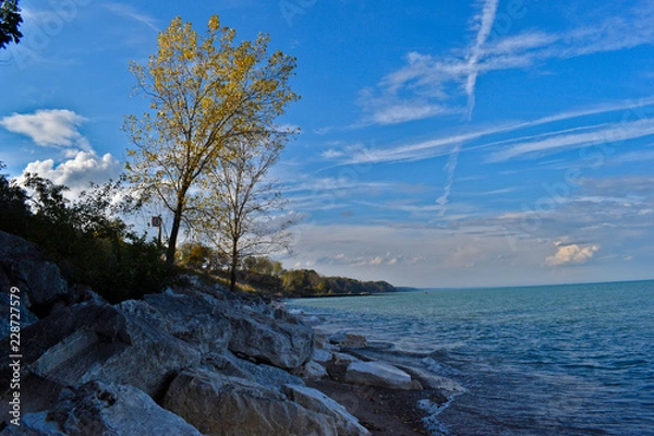 Obraz beautiful nature