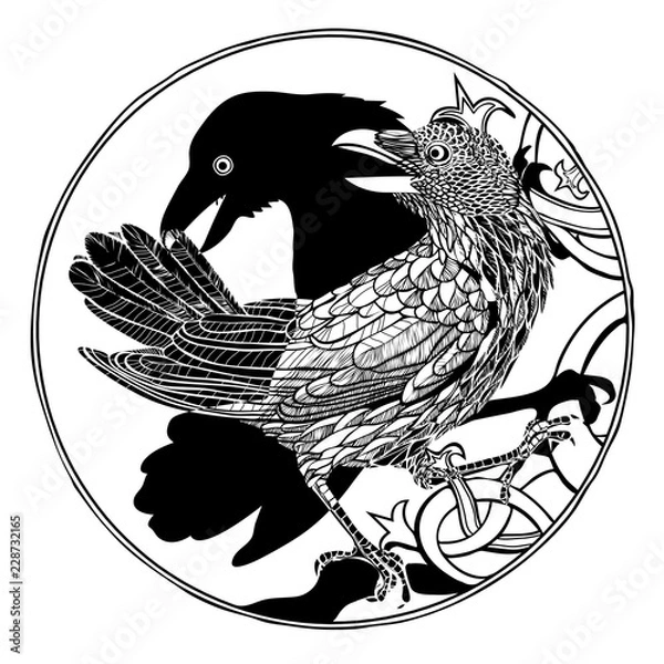 Fototapeta Vector illustration of engraved raven and shadow pattern black and white