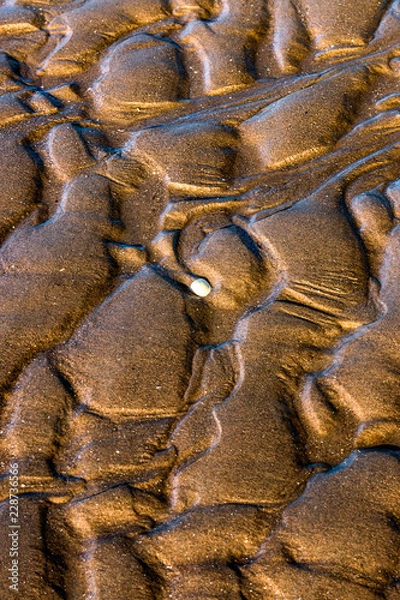 Obraz Shapes on the beach