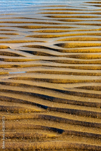 Obraz Waves in the Sand