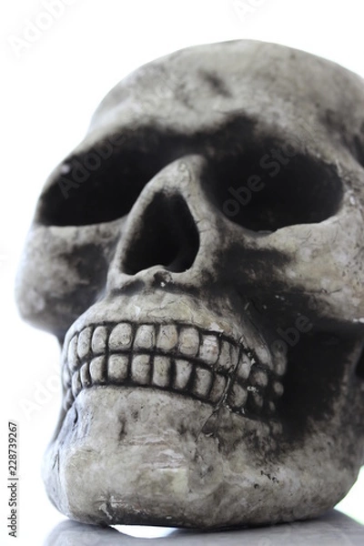 Obraz Up Close Halloween Skull