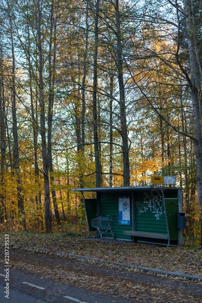 Fototapeta Busstop by the forest