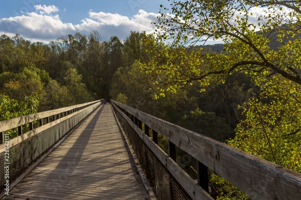 Obraz Rail Trail Path in the deep woods