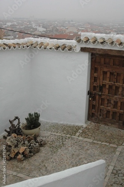 Obraz Campo de criptana