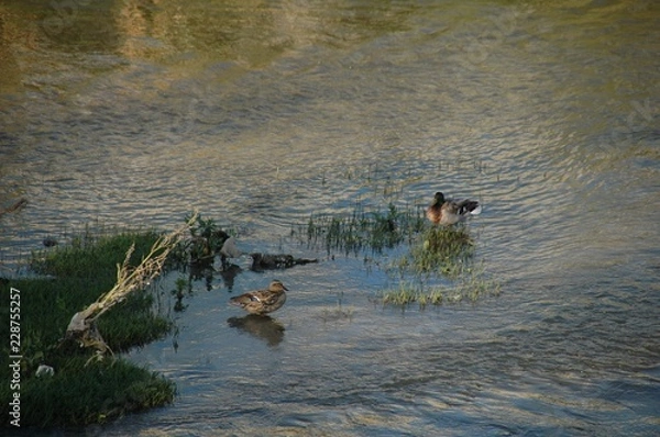 Obraz puerta de toledo