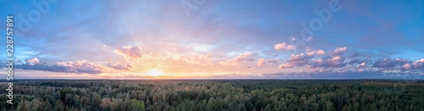Obraz Panorama sunset over the forest.