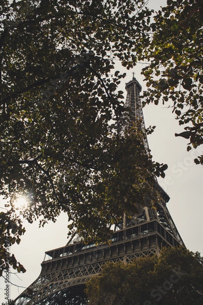 Obraz Eiffel Tower, Paris, France