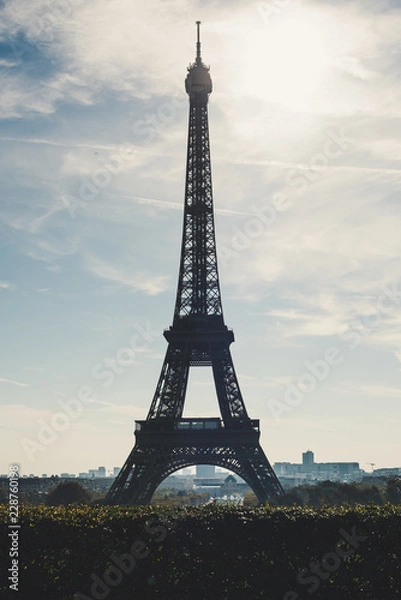 Obraz Eiffel Tower, Paris, France