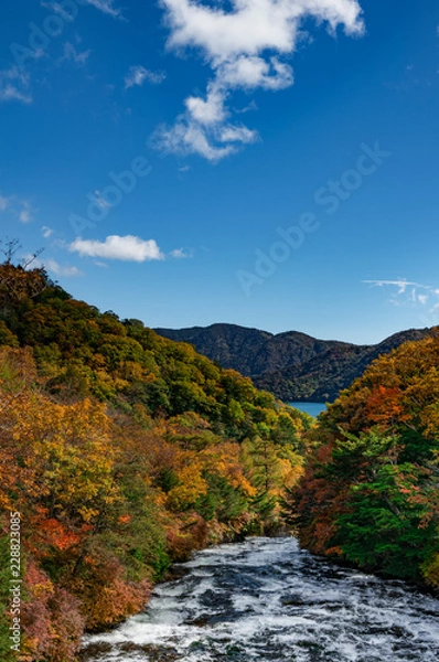 Fototapeta 紅葉した木々と川とその先の湖