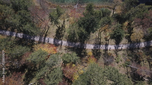 Obraz Wanderweg Eibsee