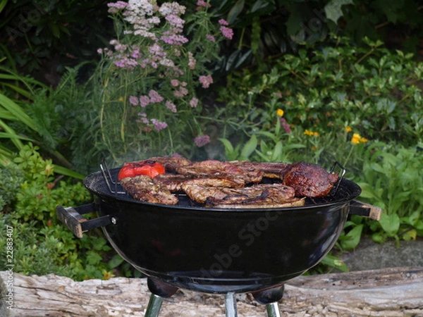 Obraz Grillen im Garten.