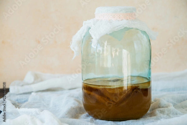 Obraz Tea mushroom, Kombucha in a glass jar.