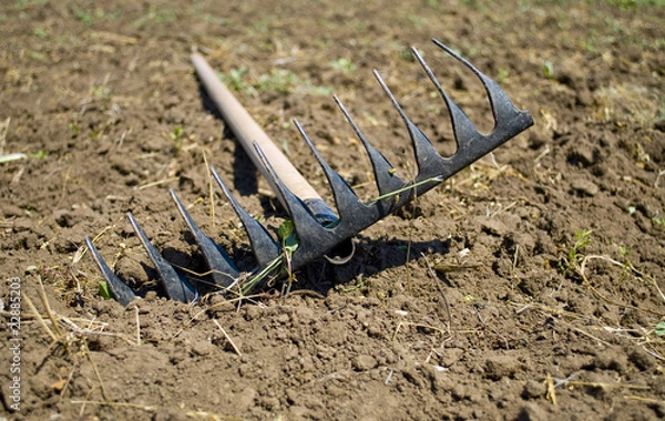 Obraz Rake lying on the plowed plot
