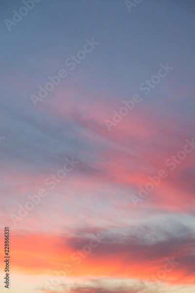 Fototapeta Elements of architecture of historical buildings. The streets of St. Petersburg with its bridges and rivers. Night view of the city at sunset.