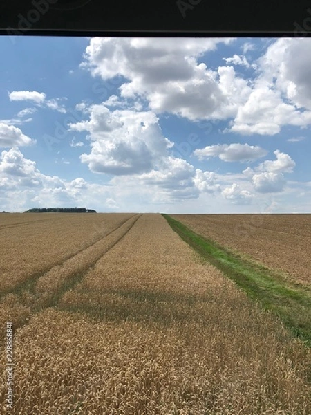 Obraz Memories of a beautiful summer.