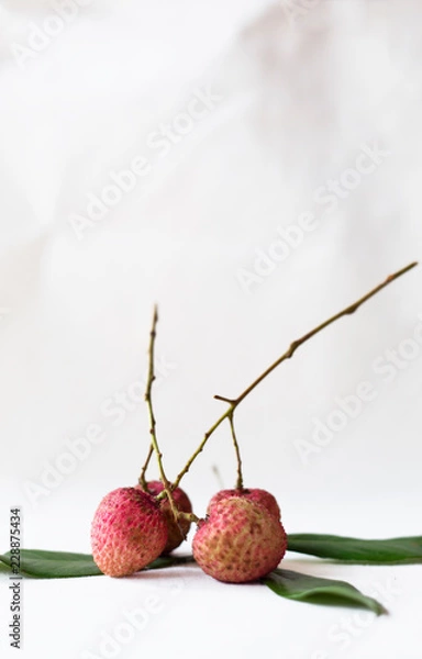 Obraz leechi on white background