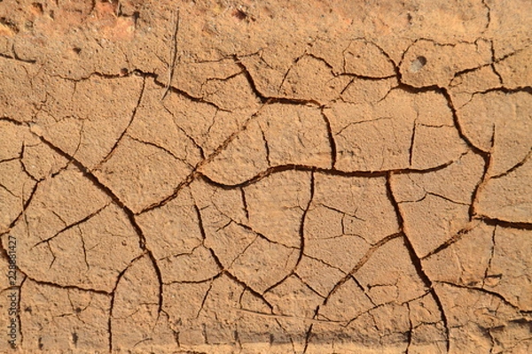 Fototapeta dry texture