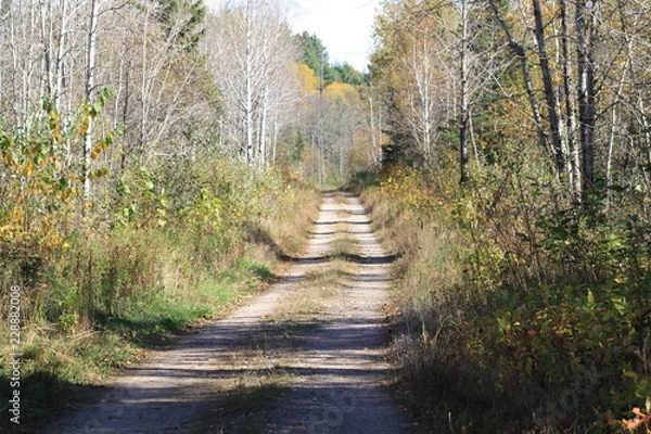 Obraz Fall Colors, autumn, trees, water, pond, gold, green, nature, woods, sky, blue